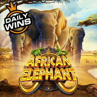  African Elephant™